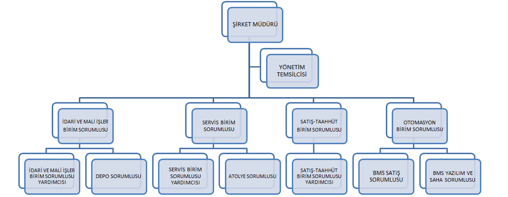 organizasyon